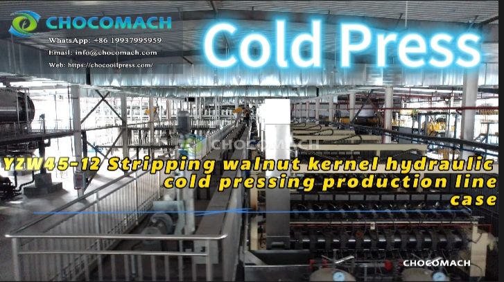 Congratulations on the successful initial debugging of CHOCOMACH YZW's 45 ton daily processing walnut oil press production line