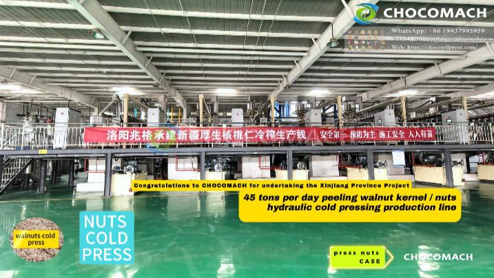 YZW45-12 Walnuts Oil Production Customer Site|Nuts Oil Production Line|Nuts Oil Making|Oil Cold Press Machine