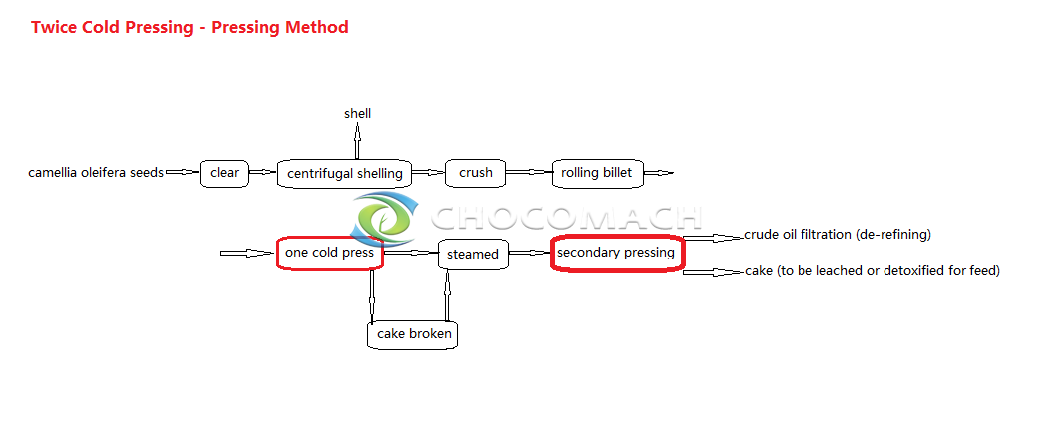 The extraction process of camellia oil-Henan Zhongxing Grain And Oil  Machinery Co.,Ltd.