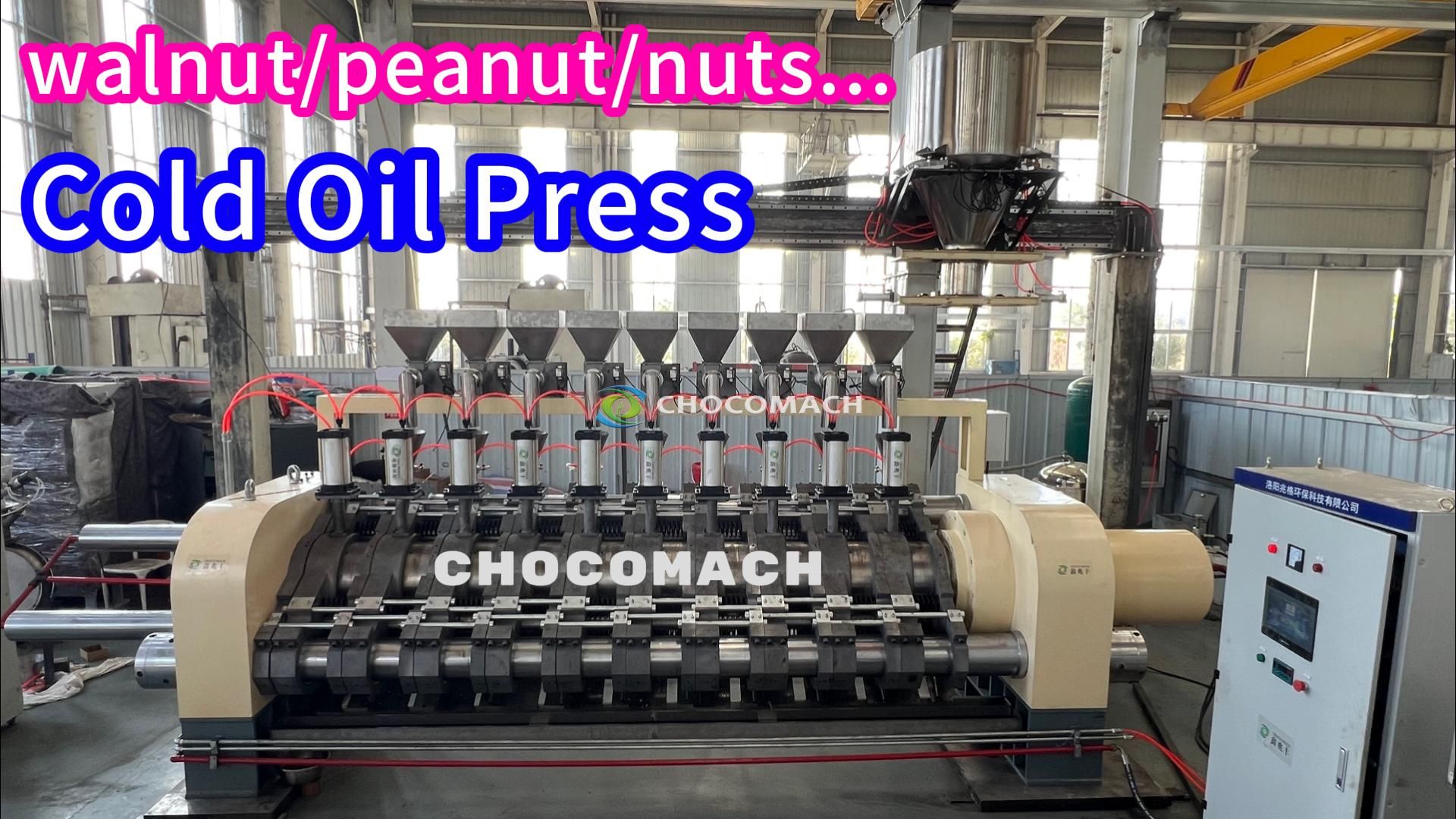 CHOCOMACH-YZW fully automatic chamber hydraulic oil press successfully debugged cold pressed walnut kernels