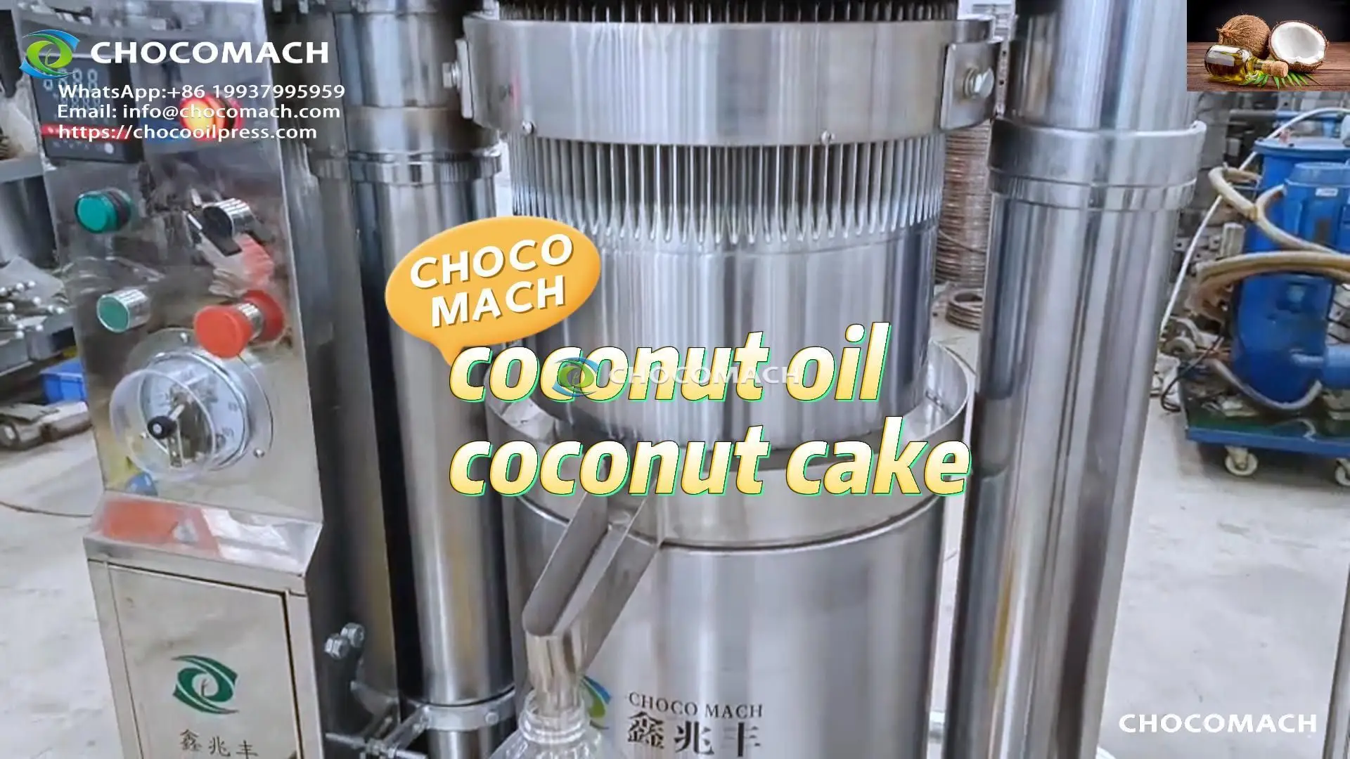 yzl-coconut-封面.webp