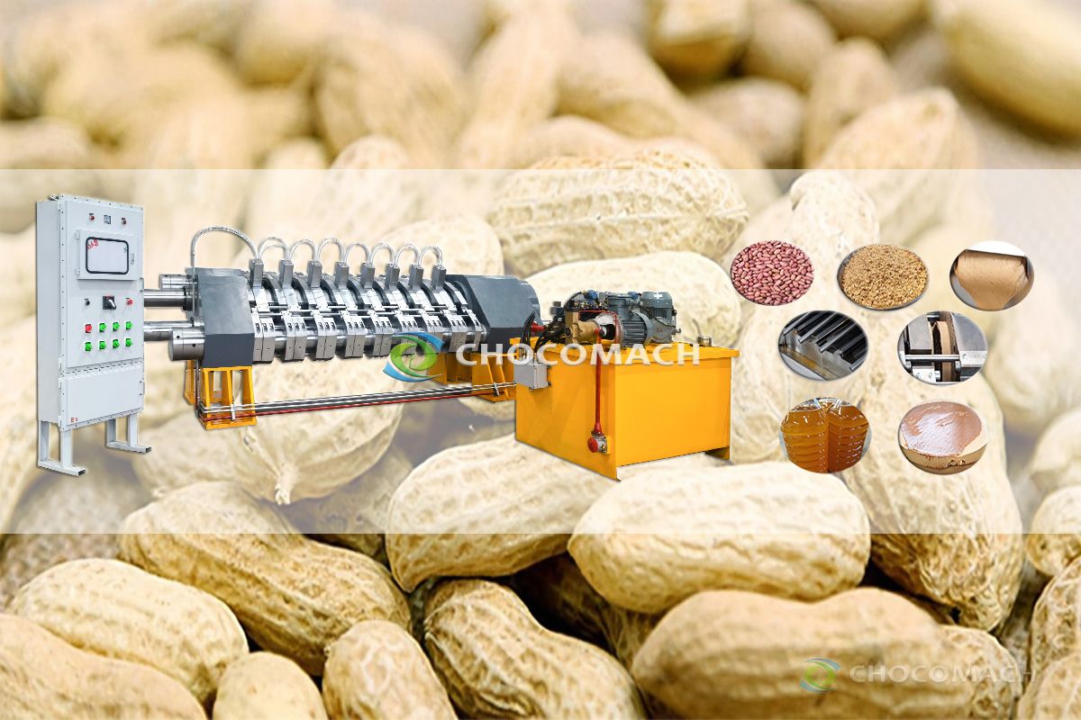 Low fat peanut powder production line YZYW